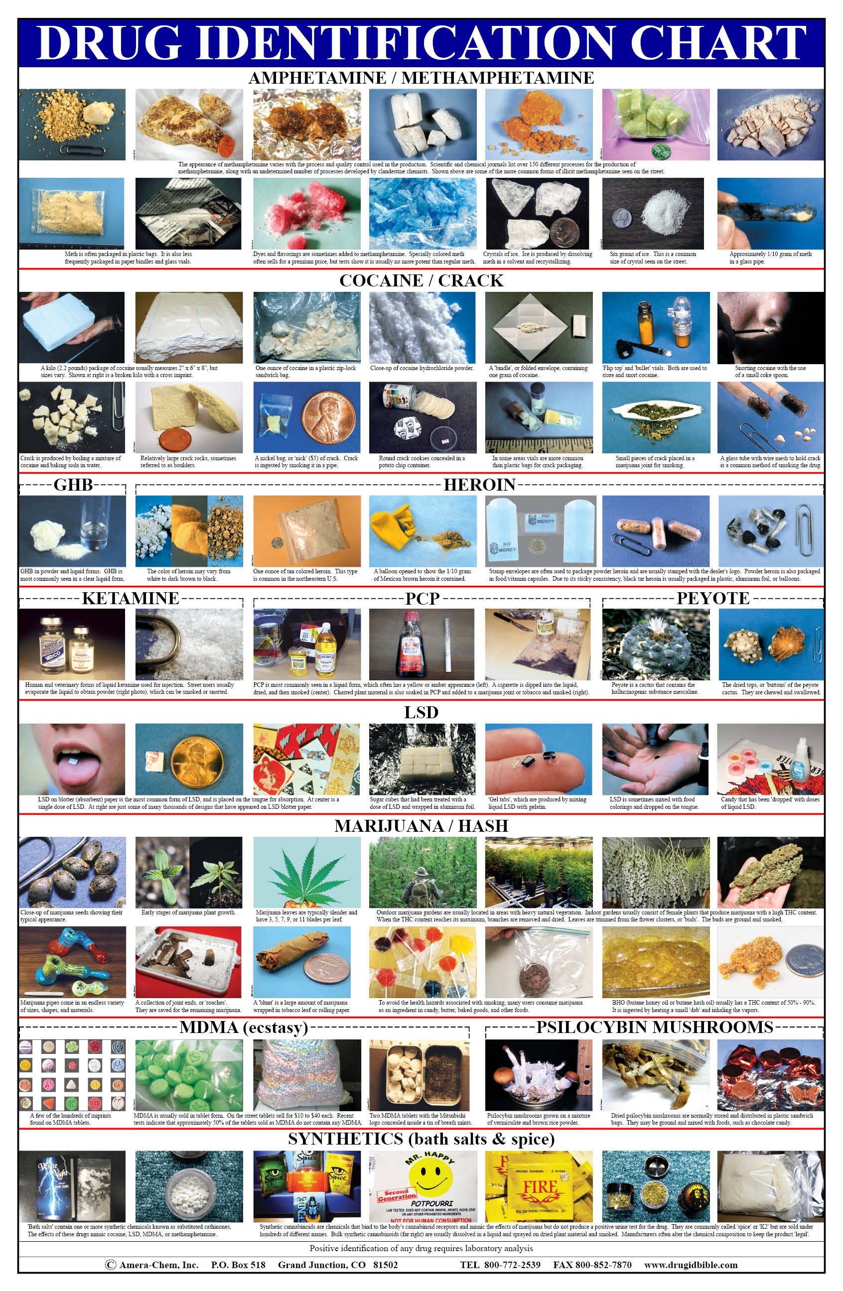 Drug Identification Number drug-identification-number