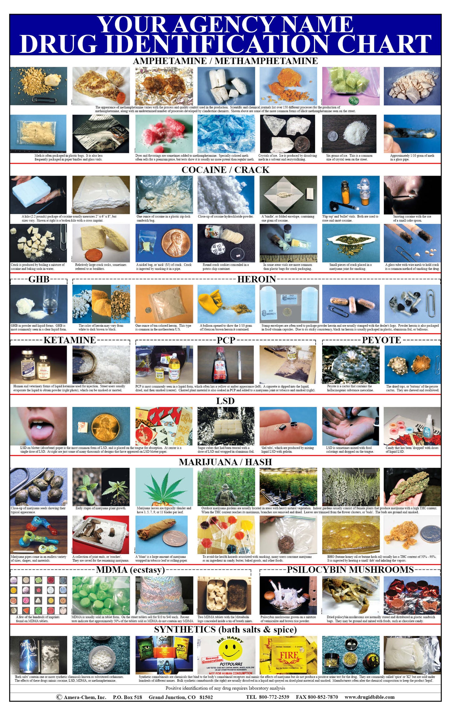 Drug Identification Wall Chart