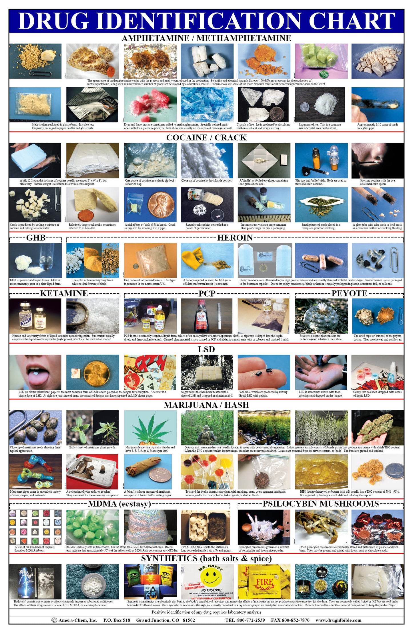 Drug Identification Wall Chart